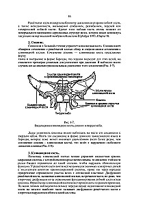 Terapia czaszkowo-krzyżowa. Księga 2